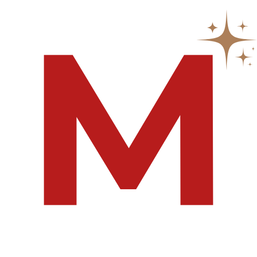 TurboMax favicon